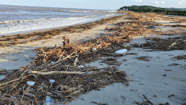 지난 9월 3일, 태풍 마이삭에 의해 해안가로 밀려온 해양쓰레기.
